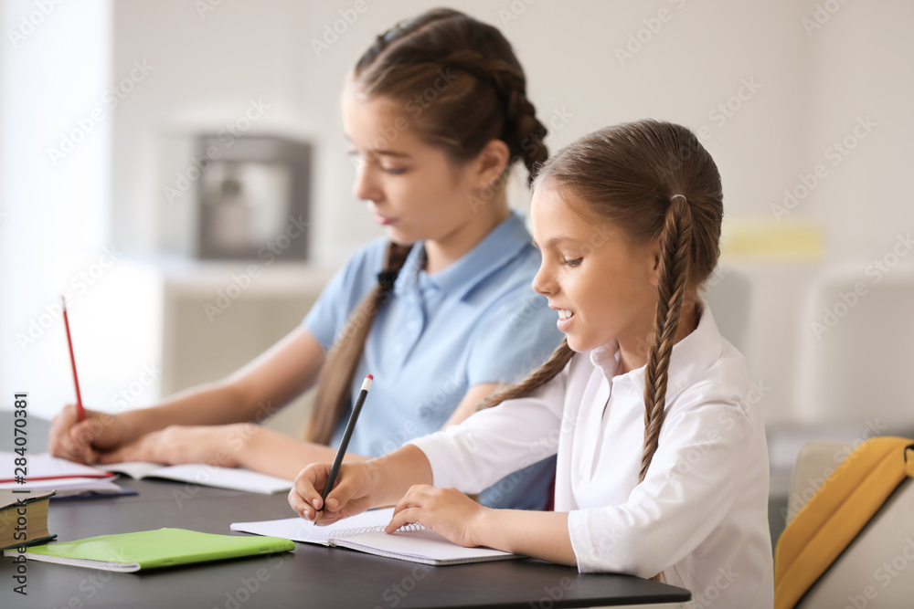 Cute little pupils doing lessons in classroom