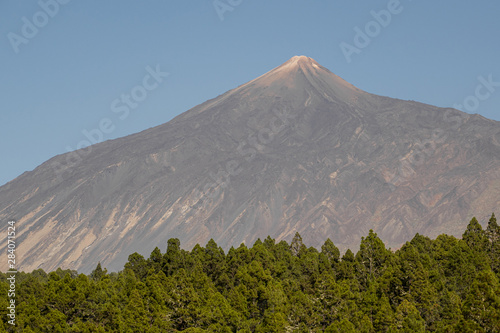 Lonely mountain peak with evergreen forest
