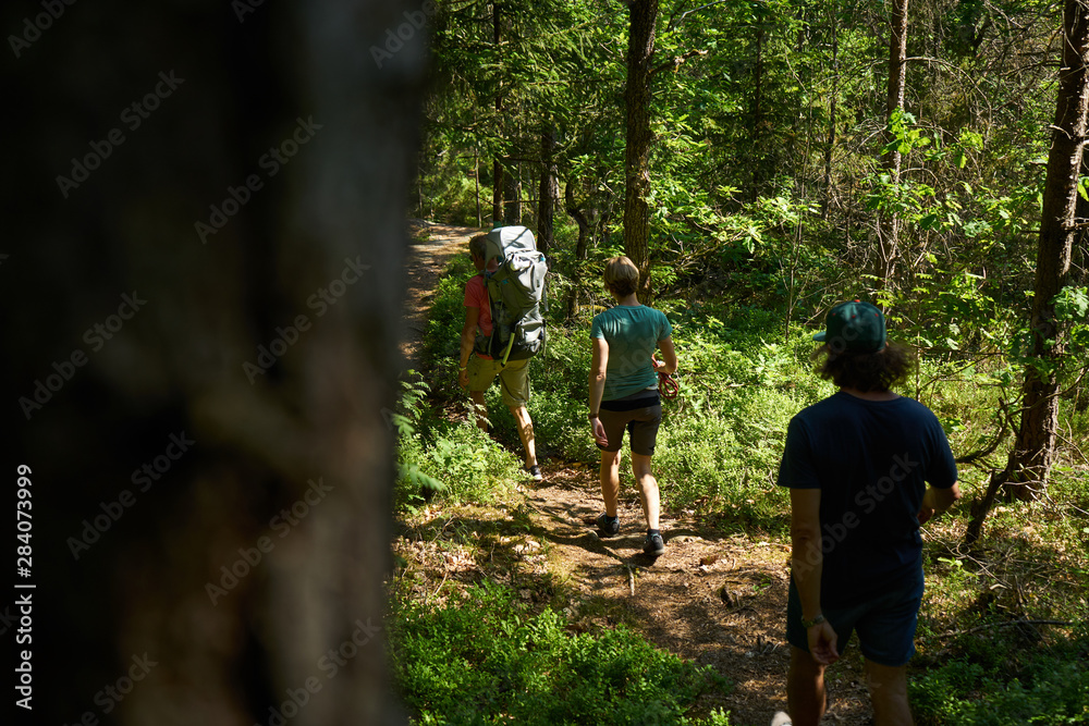 Fototapeta premium Wanderpfad im Wad von Norwegen