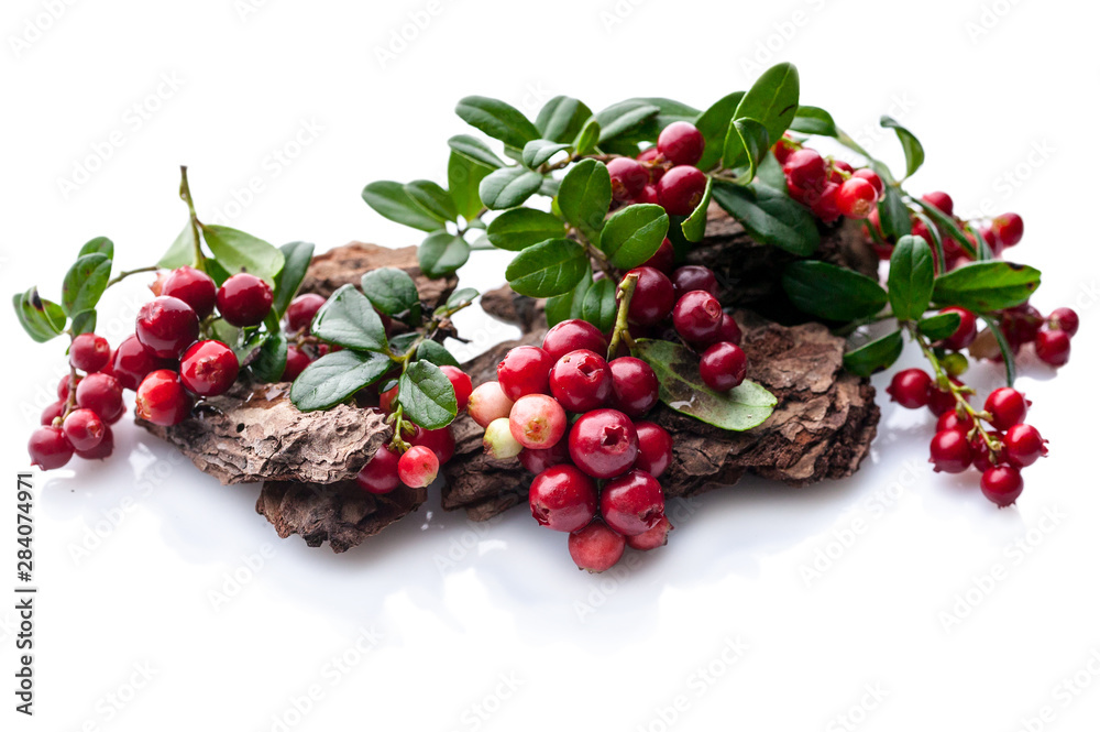 Ripe lingonberry berries on a white background. Isolated autumn composition Ripe lingonberry berries on a white background. Isolated autumn composition
