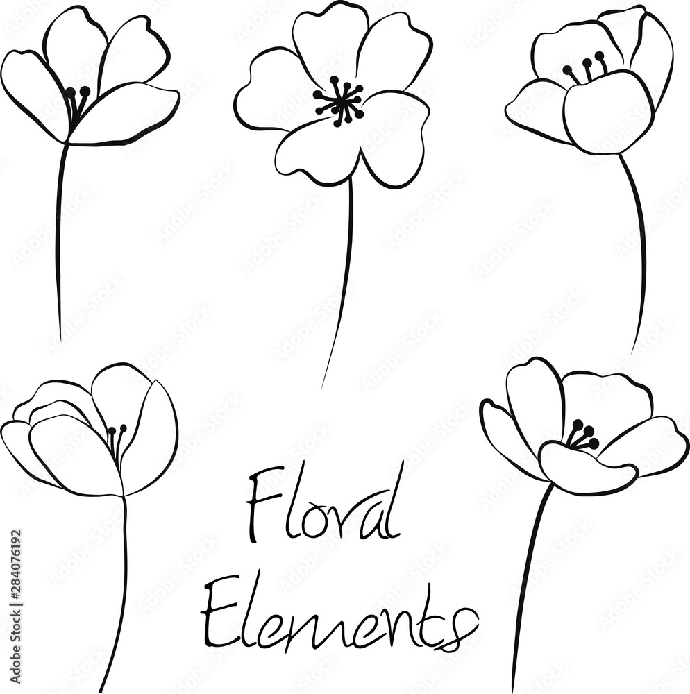 Illustrative hand drawn poppy-like flower doodle