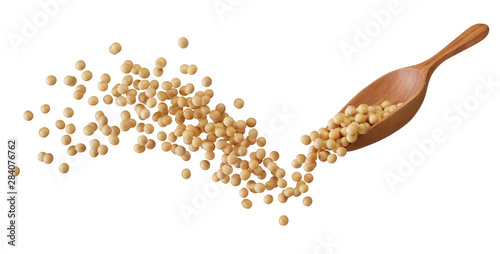 soybeans splash