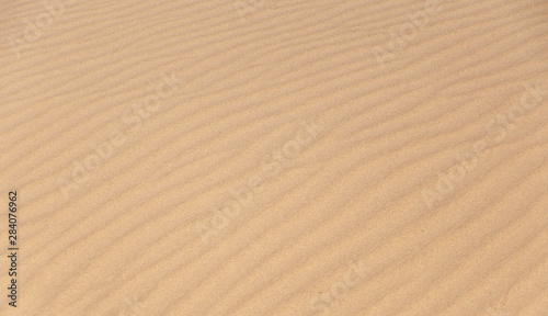 Seamless texture and background of the sand 