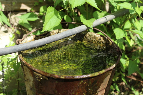 田舎のバケツ