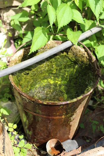 田舎のバケツ