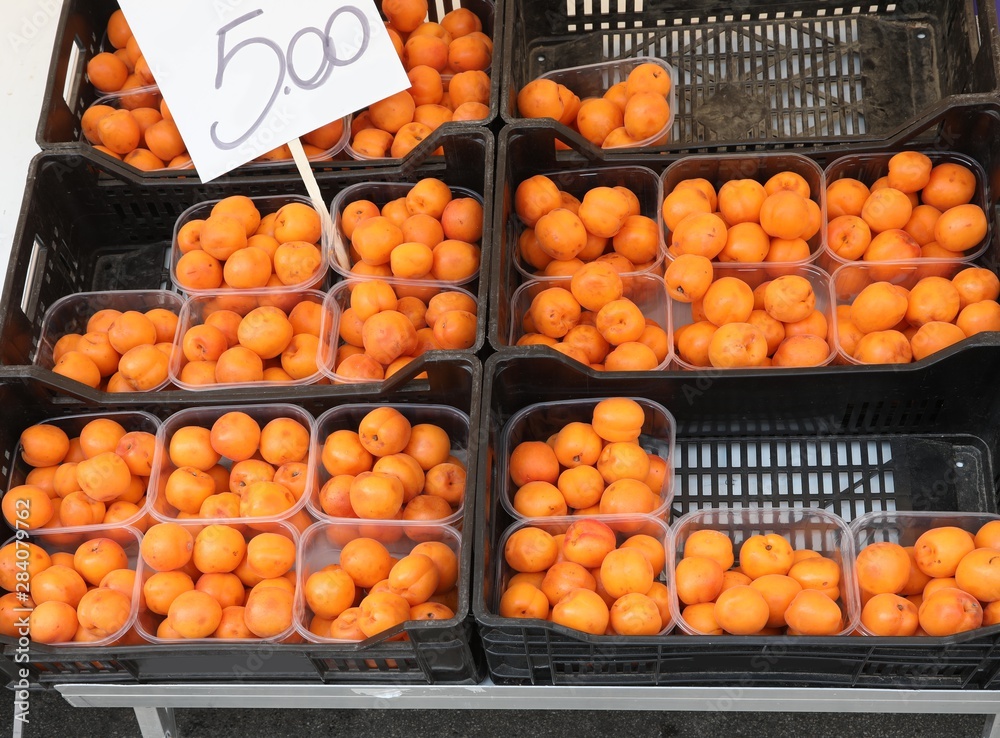 ripe apricots in boxes