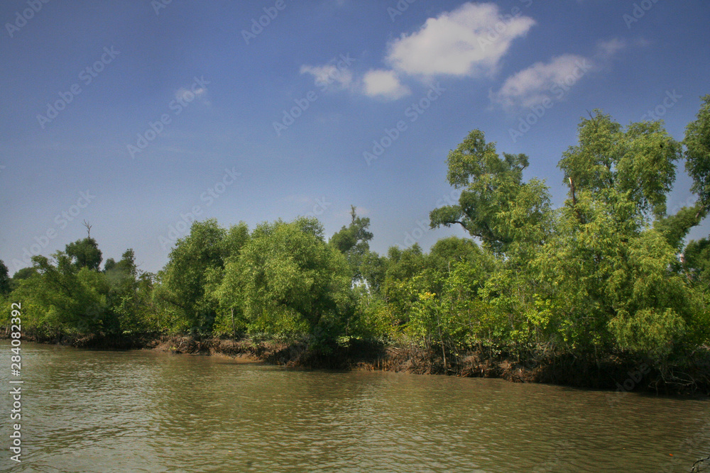 Sundarban Sundarban