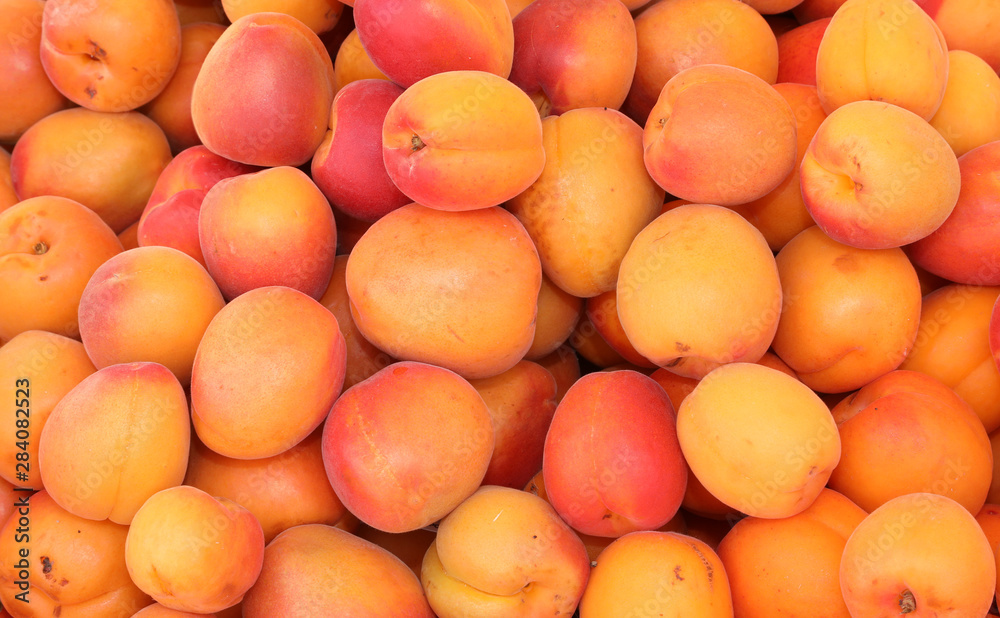 background of orange apricots for sale in summer background of orange apricots for sale in summer