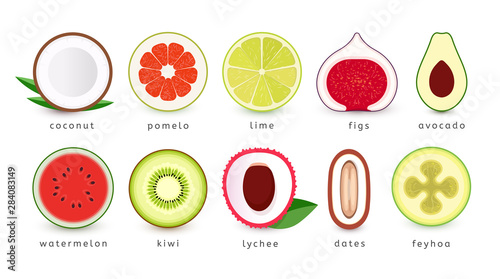 Set of fresh fruits icons. Slice of tropical fruits, logo collection. Isolated vector emblems.