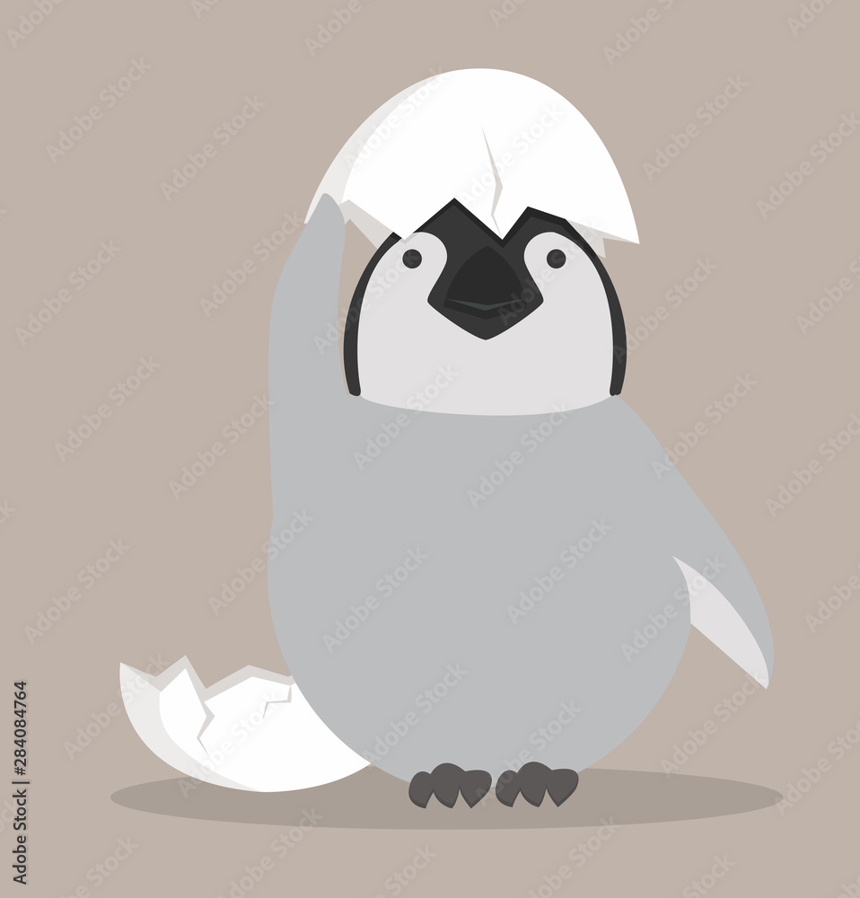 Fototapeta premium Baby penguin hatched in egg vector