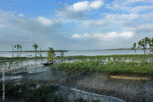 Sundarban