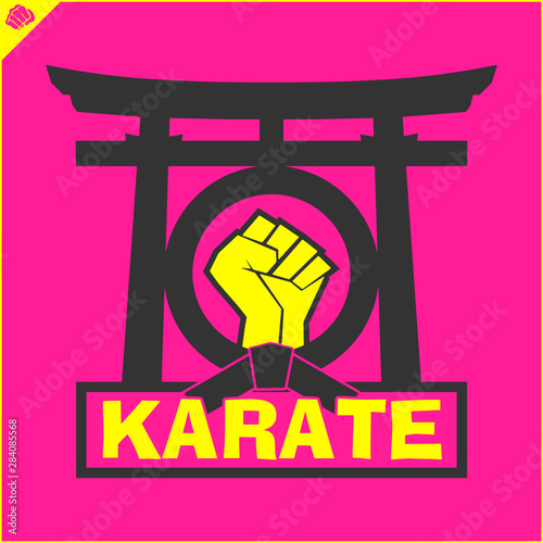 Karate emblem. Martial art creative colored simbol design. Vector, EPS.