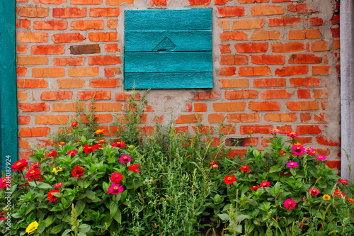 Cropped shot of colorful brick wall and flowers. Abstract colorful textures background.  Colorful background.