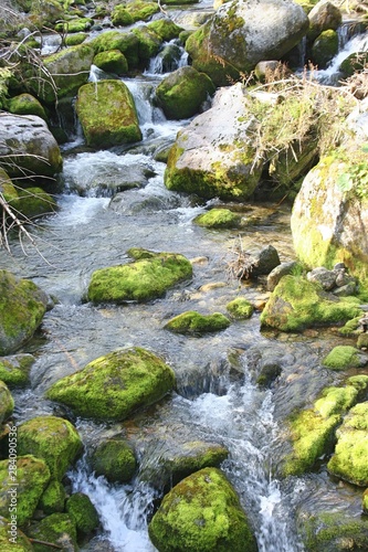 Picturesque waterfall and rocks covered with green moss. Tatra Mountains  Poland landscape.