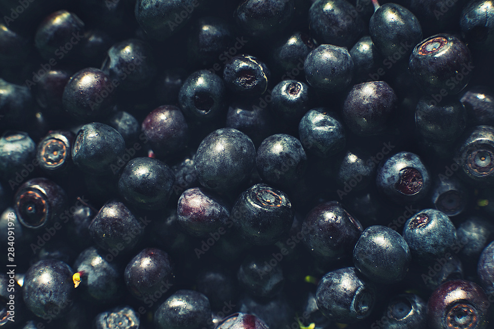 a lot of blueberries. blueberries background. picked blueberries a lot of blueberries. blueberries background. picked blueberries