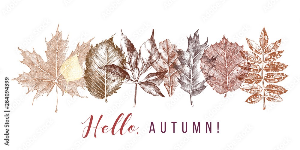 Autumn background in retro style. Hand drawn design - obrazy, fototapety, plakaty 