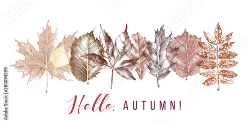 Fototapeta Naklejka Na Ścianę i Meble -  Autumn background in retro style. Hand drawn design
