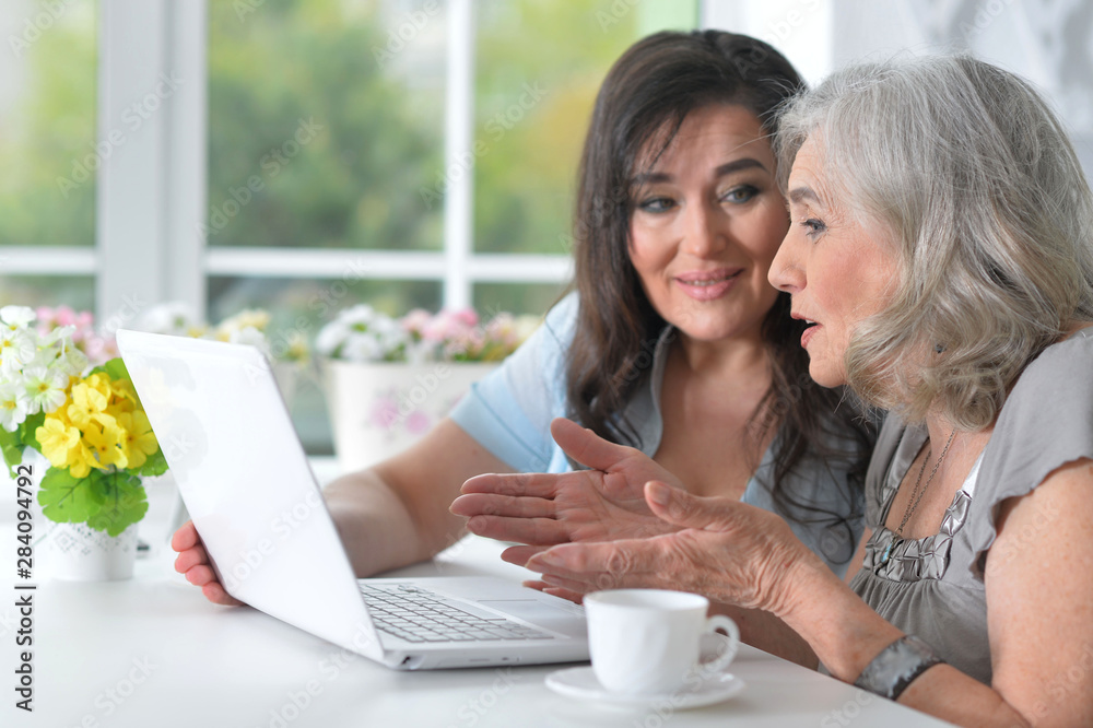Portrait of two mature women using laptop Portrait of two mature women using laptop