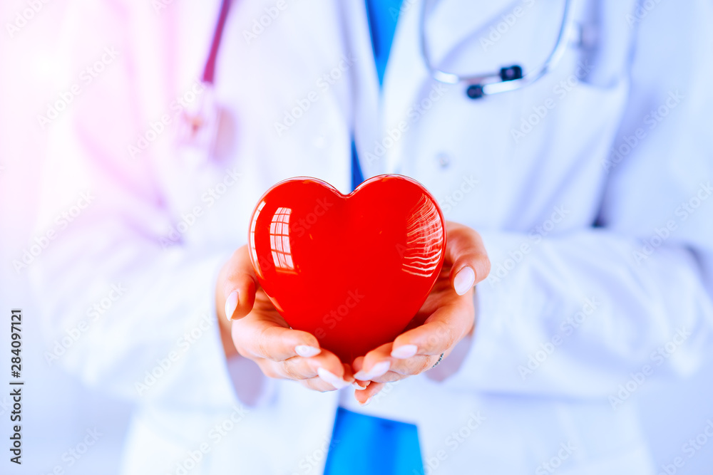 The doctor in the hospital holds a heart in his hands. Cardiologist examines the heart The doctor in the hospital holds a heart in his hands. Cardiologist examines the heart