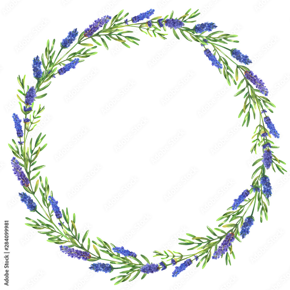 Round frame of watercolor lavender flowers Round frame of watercolor lavender flowers