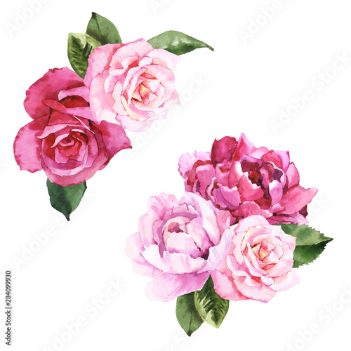 Watercolor hand painted botanical peonies, roses and leaves illustration set isolated on white background © Salnikova Watercolor