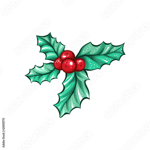 Christmas berry holly or ilex. Red xmas branch fruit. Winter aquifolium leaves decor. Christmas berry traditional isolated vector symbol