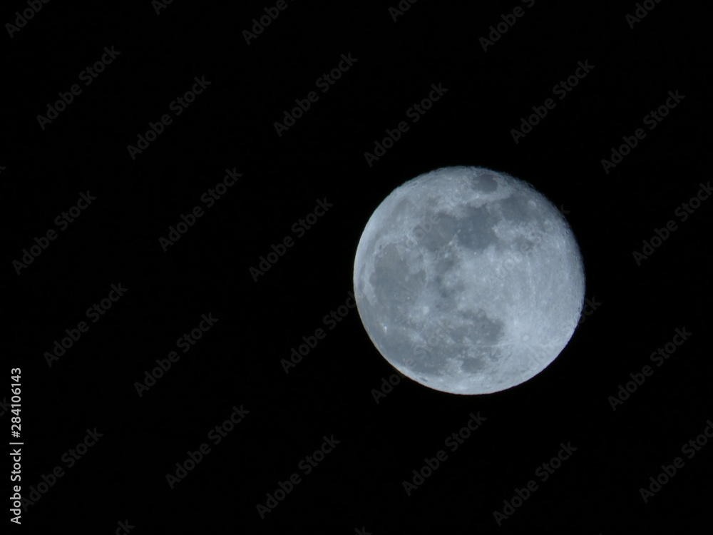 lune lune
