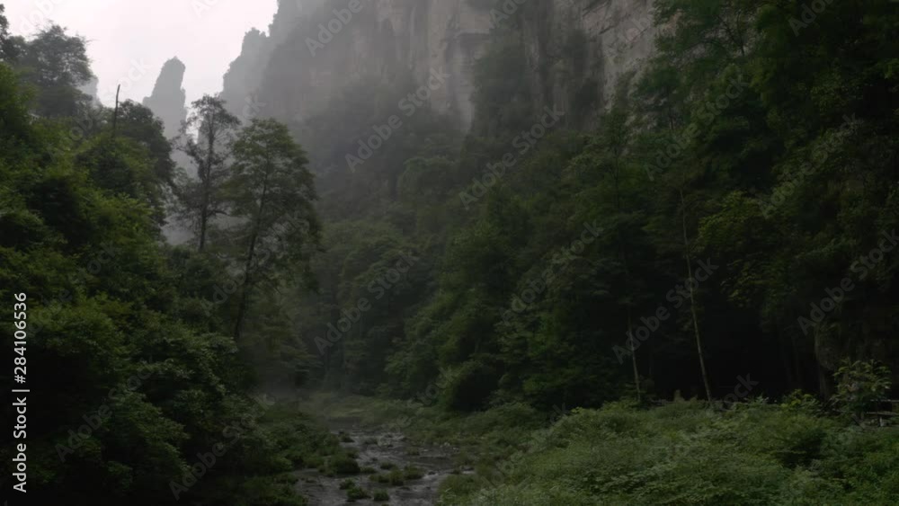 Zhangjiajie National Park dark dense mountain jungle wilderness in foggy eerie atmosphere. Pan right.
