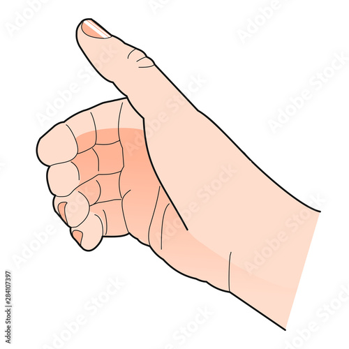 Hand [coloriert, rechts]