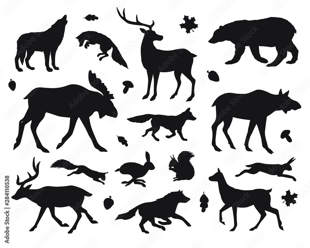 Vector black set collection of forest animals silhouette isolated on white background