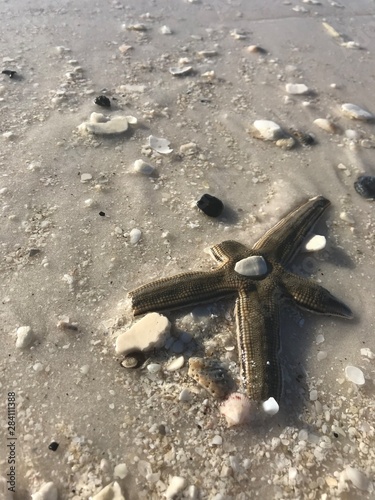 lock on the beach