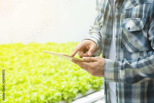 Young Asian gardener man using tablet and checking his plant or green lettuce vegetable in greenhouse organic farm.Small business entrepreneur and Technology for Smart gardener concept .