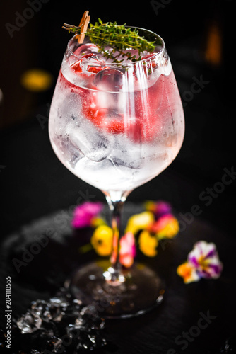 tonic gin with fresh raspberry and rosemarie plant