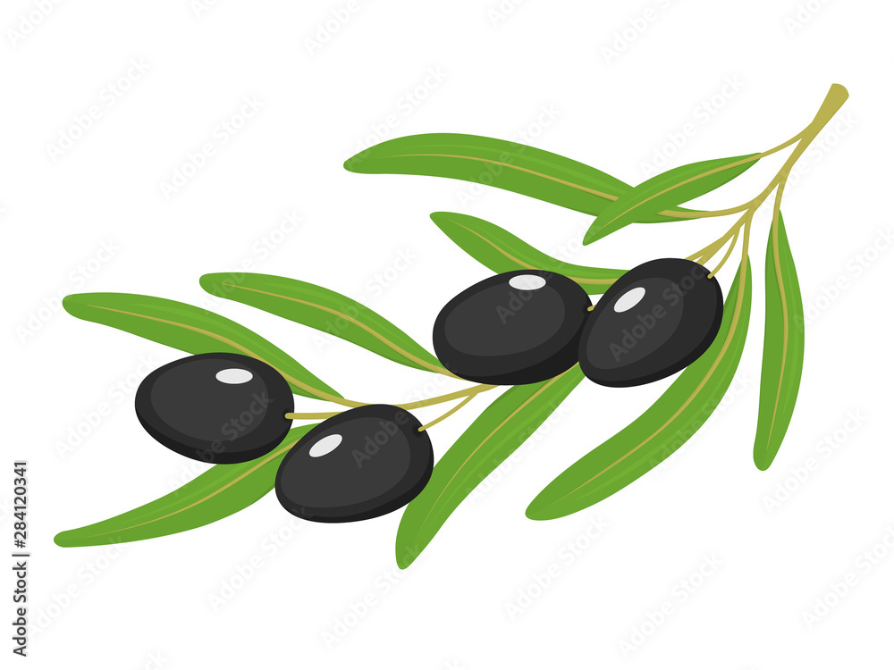 vector illustration of green olives on white background vector illustration of green olives on white background
