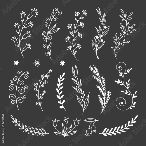 Floral doodle set in sketch style, vector hand drawn botanical illustration for decorative design on dark background
