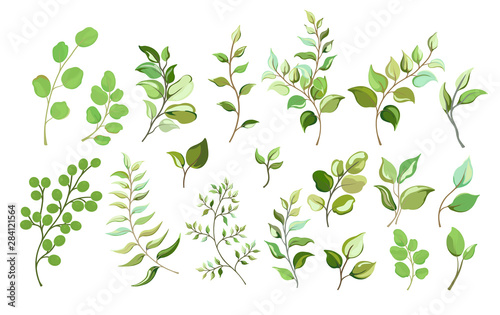 Botanical collection set of wild and garden grass leaves and branches