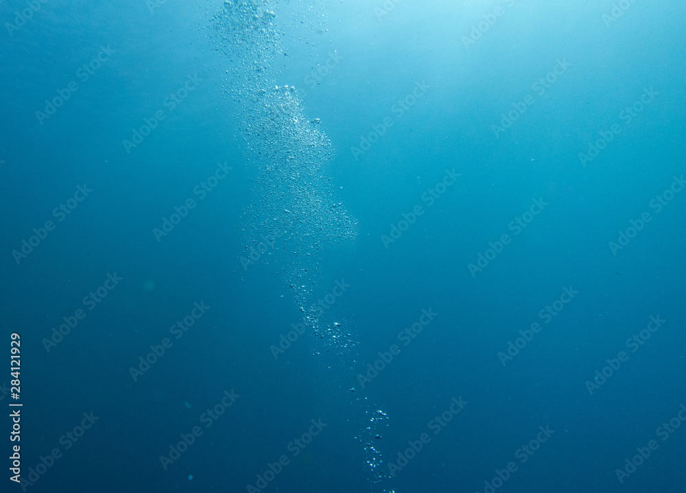 Scuba Diving bubbles rising to the surface.