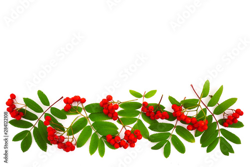 Frame made of rowan berries on white background. Autumn concept. Flat lay, top view, copy space