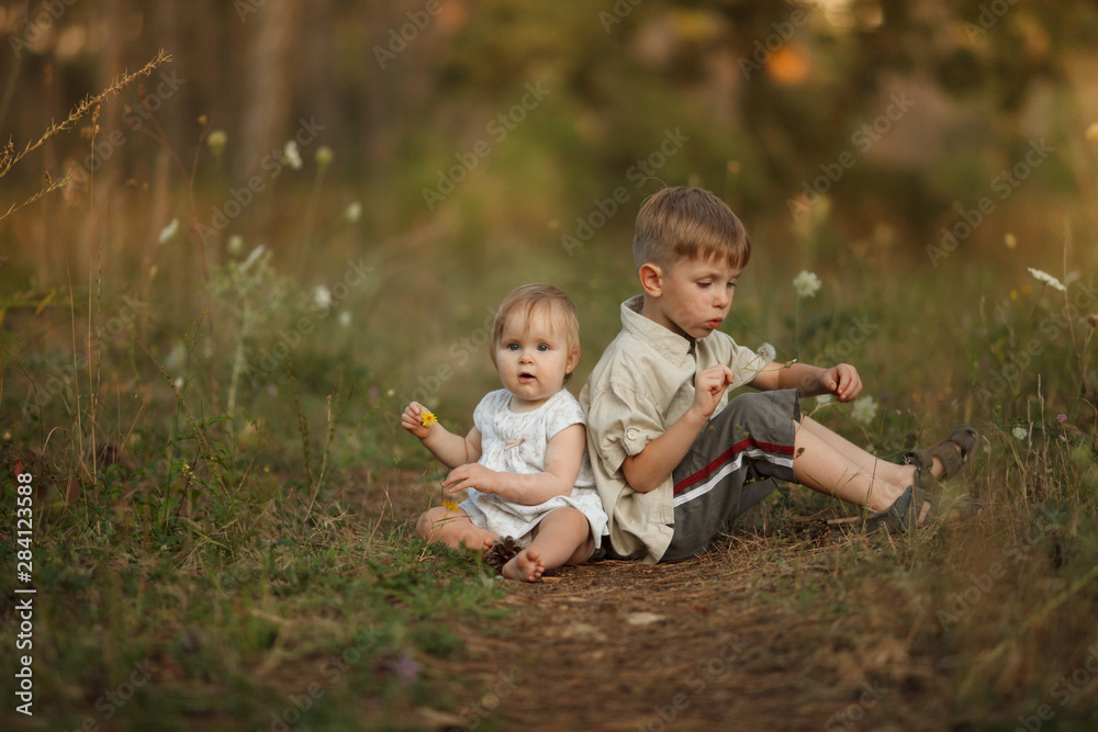 Two cute happy little kids sit back to each other in nature with flowers. The boy blows on a dandelion. The girl smiles and laughs. The concept of a happy family on holiday in nature. Two cute happy little kids sit back to each other in nature with flowers. The boy blows on a dandelion. The girl smiles and laughs. The concept of a happy family on holiday in nature.