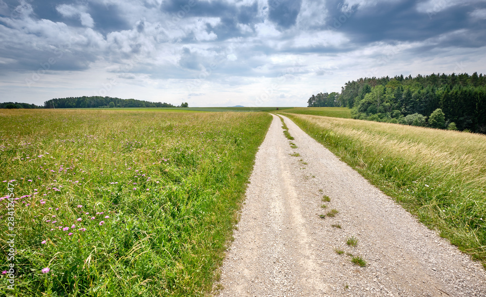 Beautiful sunny rural summer landscape with a long gravel road and a diminishing persepective Beautiful sunny rural summer landscape with a long gravel road and a diminishing persepective