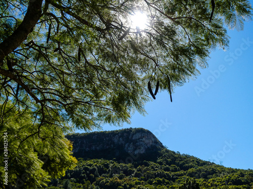 Mount Ninderry with lush green trees against a vivid blue sky,. near Noosa on the Sunshine Coast hinterland, Queensland, Australia