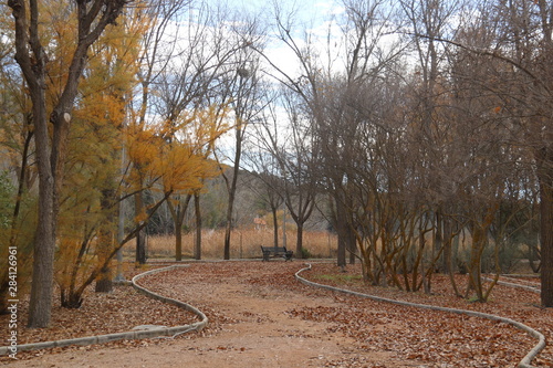 parque otoñal