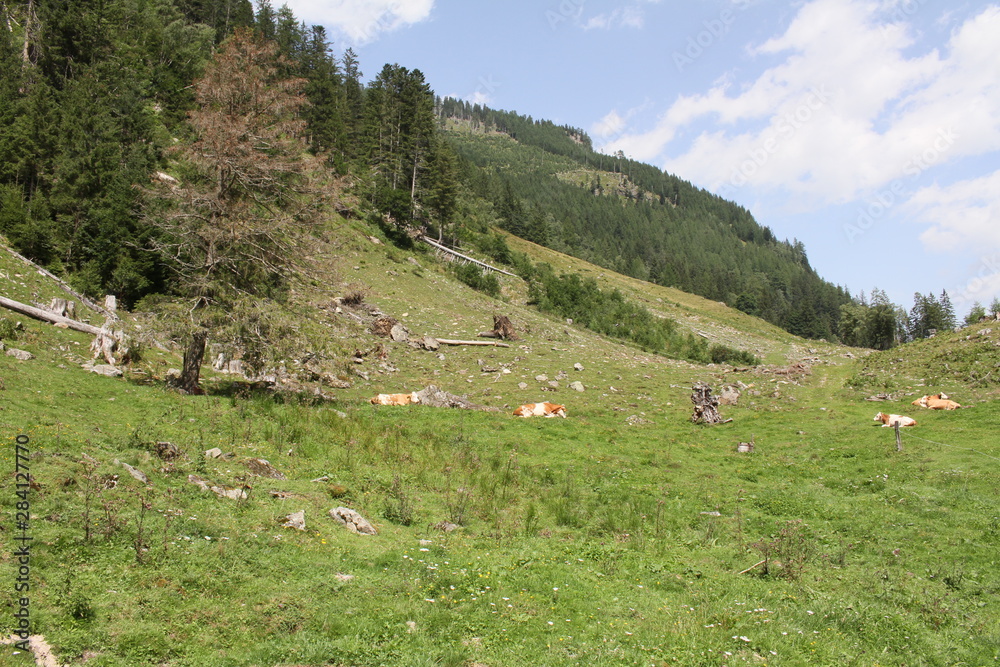 Naklejka premium Dachsteingebirge