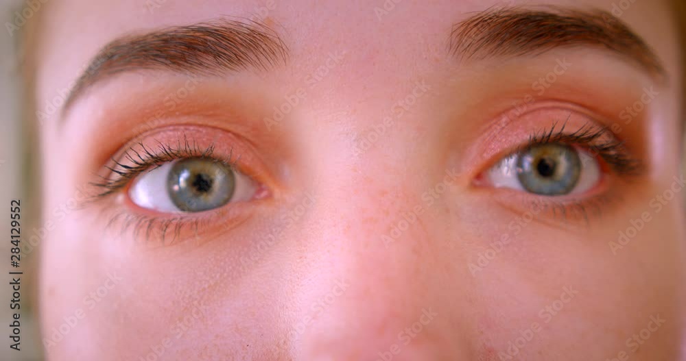 Closeup portrait of young beautiful female face looking at camera in apartment indoors Closeup portrait of young beautiful female face looking at camera in apartment indoors