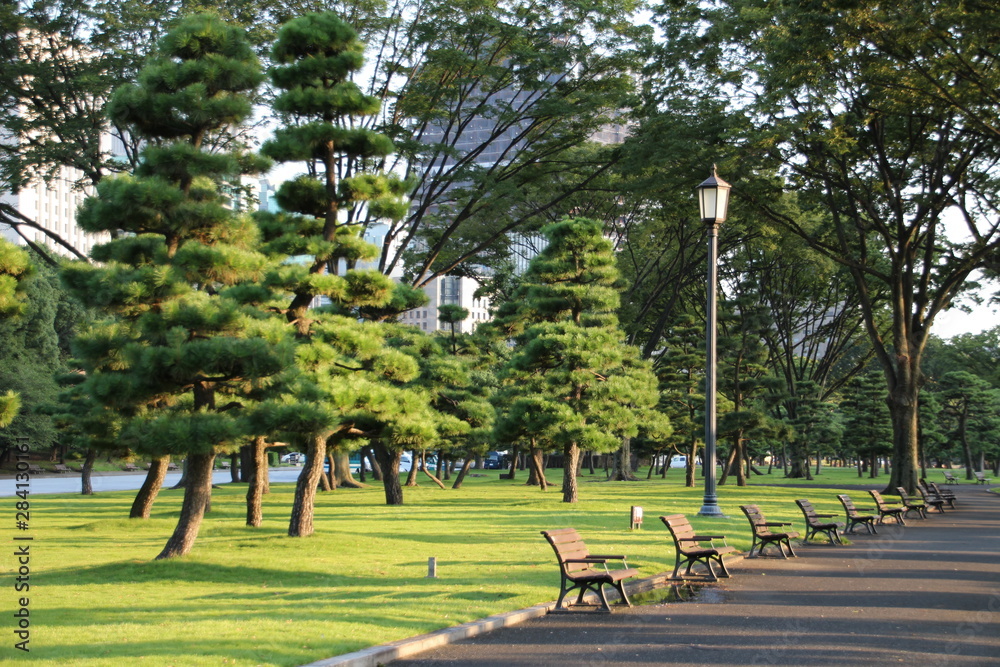 Naklejka premium 都会の公園 東京 日本