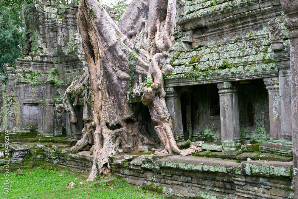 temple ruin angkor wat