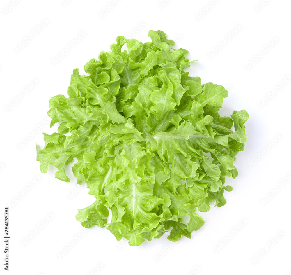 lettuce leaf isolated on white background. top view lettuce leaf isolated on white background. top view