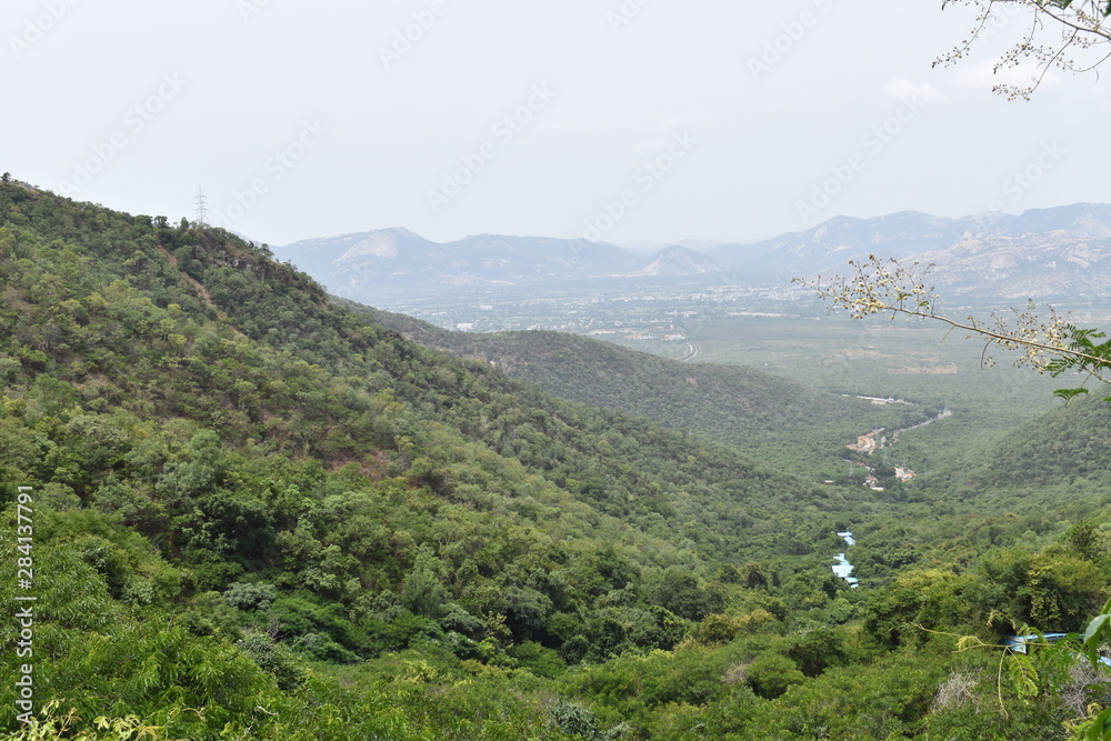 A view of green forest and the sky on hills from the top of hill