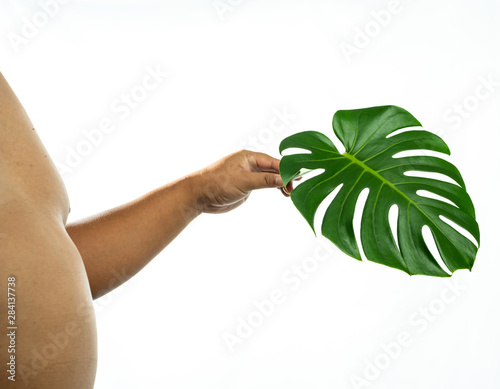 Fat man with a big belly are holding a green fresh monstera leaf isolated on white background, health concept design with copy space for text.