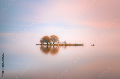 Trees on an island in the middle of a lake, Antrim, County Antrim, Northern Ireland, United Kingdom